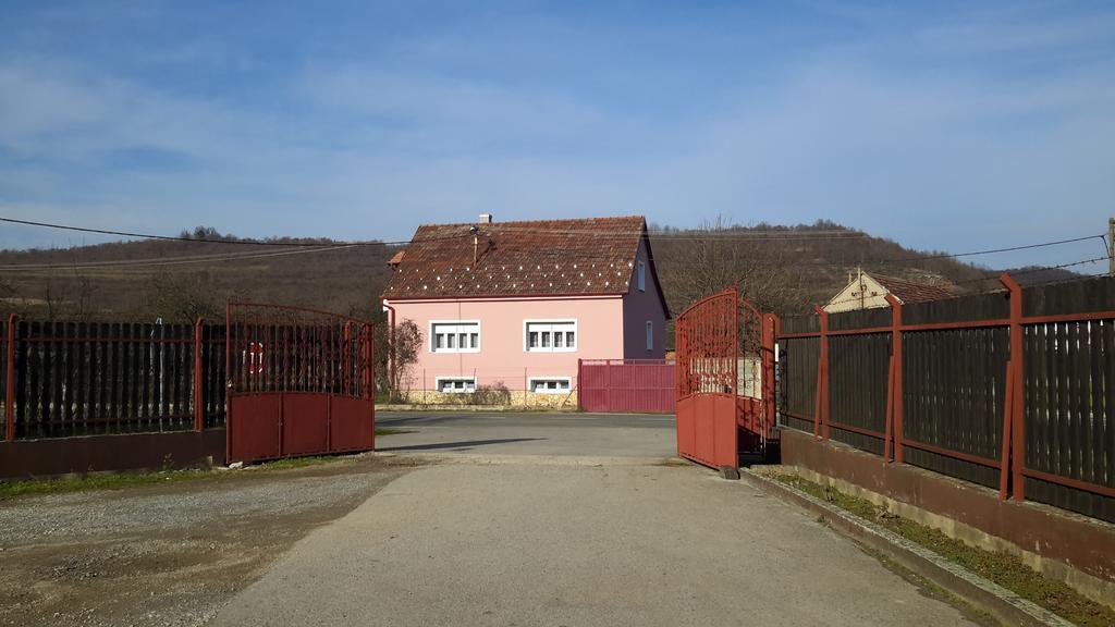 Apartman Anka et Studio Anka Ratkovica Exteriör bild